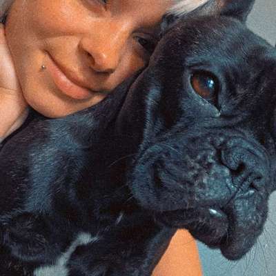 Hundetreffen-Social Walk/ Gassi Runde-Bild