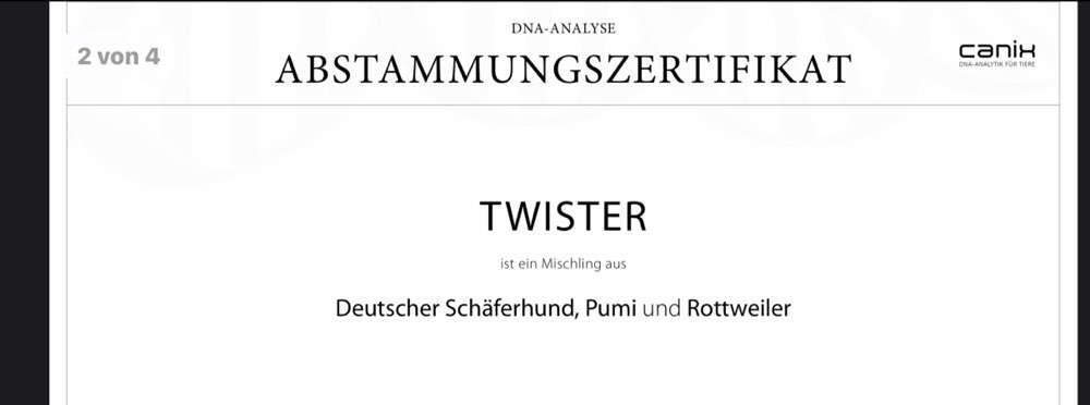 DNA-Tests-Beitrag-Bild