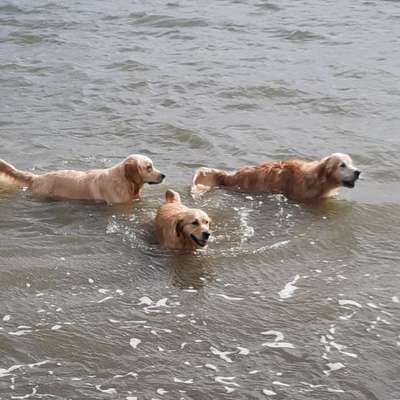 Reinhild's Profilbild