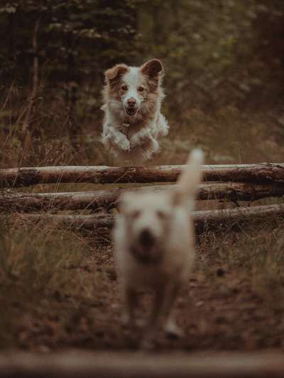 Austausch zur Fotografie-Beitrag-Bild