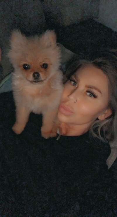 Welpen Bilder !-Beitrag-Bild