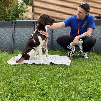 Hundeschulen-Wildpaw Coaching-Bild