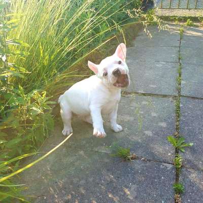 Lieblings Schnappschuss?-Beitrag-Bild