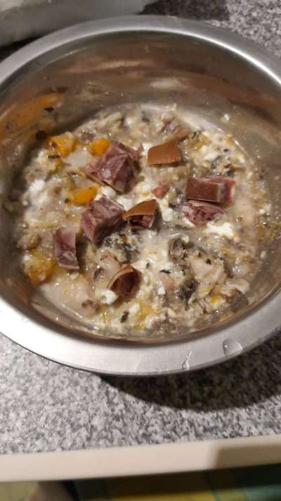 Zeigt her Eure Futternäpfe-Beitrag-Bild