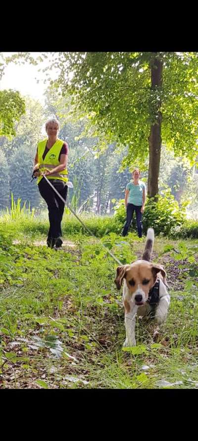 Mantrailing-Beitrag-Bild