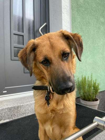 Érbrechen beim Autofahren-Beitrag-Bild