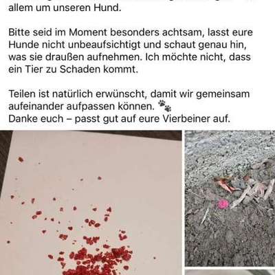 Giftköder-Giftköder-Bild