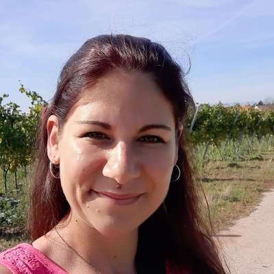 Hundetreffen-Gassirunde Kaltenbrunner Tal