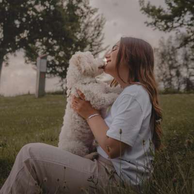 Hundefriseure-Lili‘s Pfotentreff-Bild