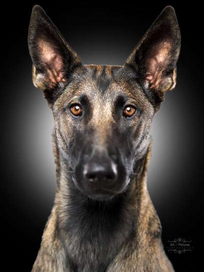 Fotochallange Nr. 57     PORTRÄT.   Beendet!!!!!!!!-Beitrag-Bild