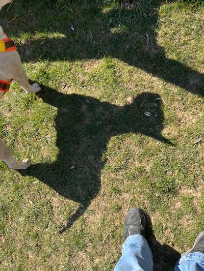 Ratespaß geht weiter-Beitrag-Bild