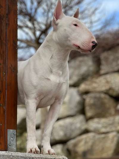 Gibt es Namens-Verwandte-Beitrag-Bild