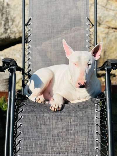 Foto Challange Nr.80-Beitrag-Bild