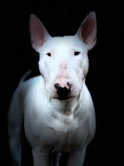 Zeigt eure Portraits-Beitrag-Bild