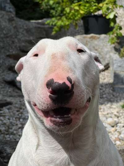 Handy-foto Challange nr. 11-Beitrag-Bild