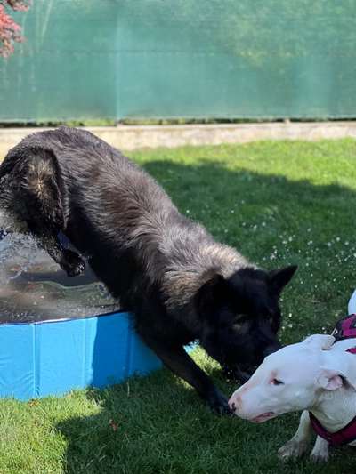 Lustige Grimassen & verrückte Posen-Beitrag-Bild