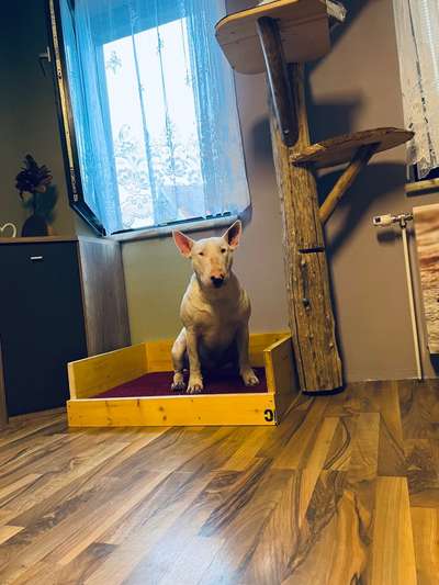 Upcycling - aus Alt mach Neu-Beitrag-Bild