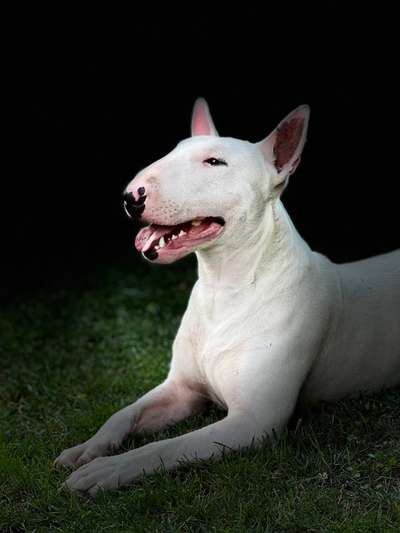 Außergewöhnliche Merkmale-Beitrag-Bild