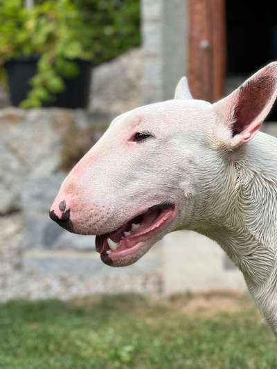 Ist das ein...?-Beitrag-Bild