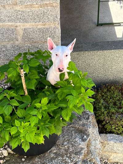 Wir sind nicht perfekt !-Beitrag-Bild