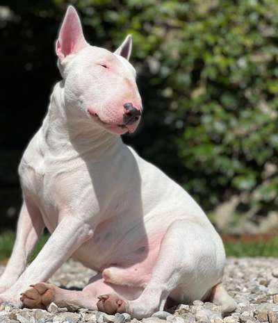 Fotochallenge Nr.105  Glücksmomente-Beitrag-Bild