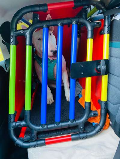 Transport  im Auto-Beitrag-Bild