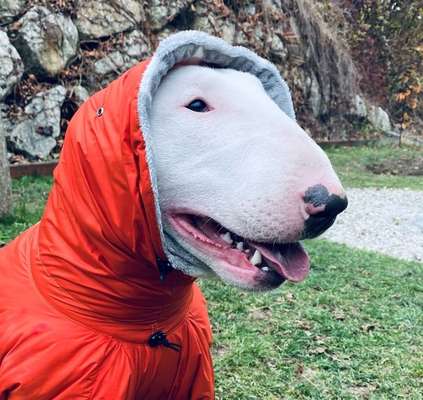 Moviestar-Pics!-Beitrag-Bild