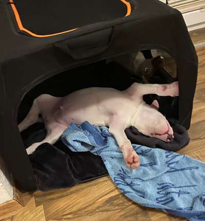 Die unbequemsten und lustigsten Schlafpositionen-Beitrag-Bild