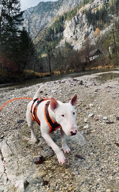 Fotochallenge Nr 107-Beitrag-Bild