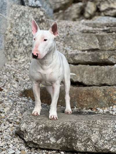 21. Handy-Foto-Challenge-Beitrag-Bild