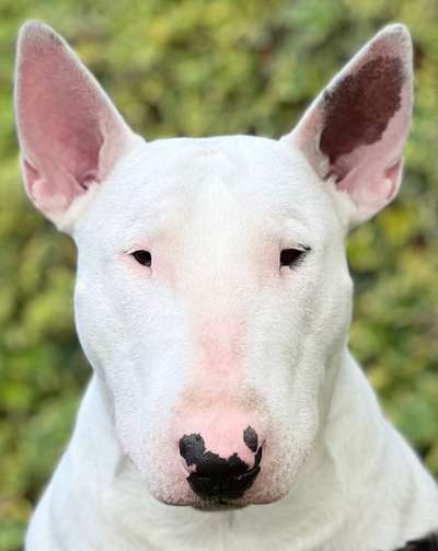 3. Ein besonderes Merkmal-Beitrag-Bild