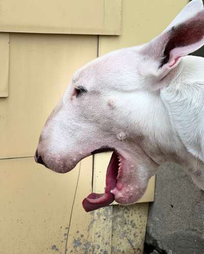 Handyfoto challenge Nr. 13: Waschlappen raus!-Beitrag-Bild