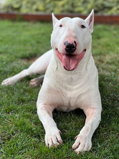 Ist das ein...?-Beitrag-Bild