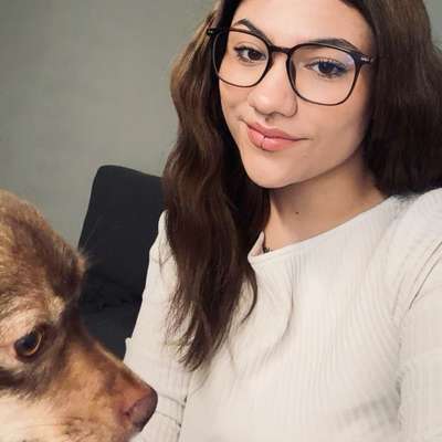 Hundetreffen-Sommer Spaziergänge