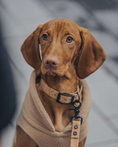 Austausch zur Fotografie-Beitrag-Bild