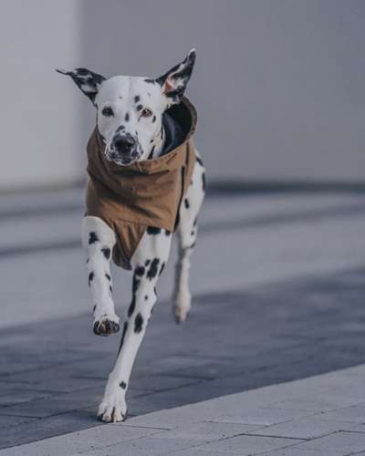 Austausch zur Fotografie-Beitrag-Bild