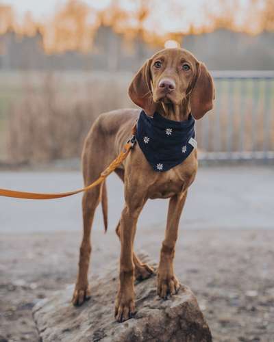 Austausch zur Fotografie-Beitrag-Bild