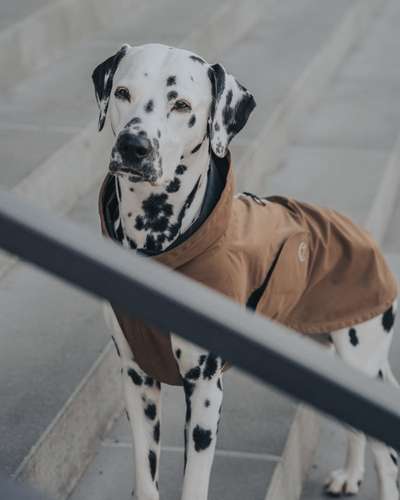 Austausch zur Fotografie-Beitrag-Bild