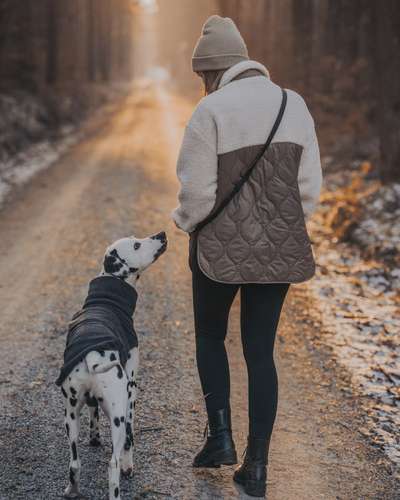 Hundetreffen-Social Walk / Hundekontakte-Bild