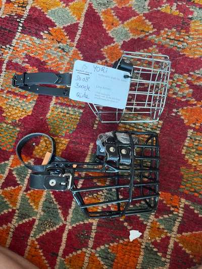 Wie sitzt mein Maulkorb / Maulkorb-Beratung-Beitrag-Bild