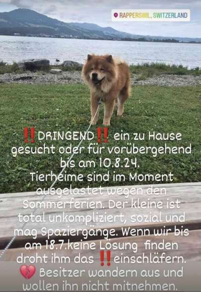 Was hat euch heute genervt?-Beitrag-Bild