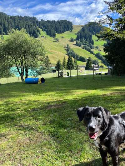 Ferien Schweiz mit Training verbringen-Beitrag-Bild