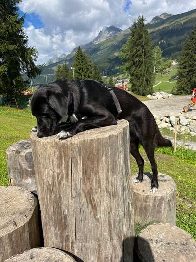 Ferien Schweiz mit Training verbringen-Beitrag-Bild