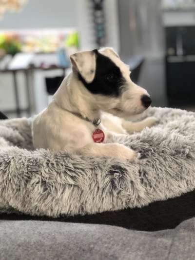 Erfahrung mit Wolkenbett-Beitrag-Bild