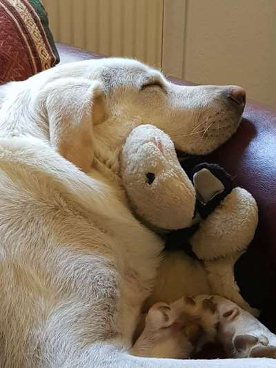 Die unbequemsten und lustigsten Schlafpositionen-Beitrag-Bild