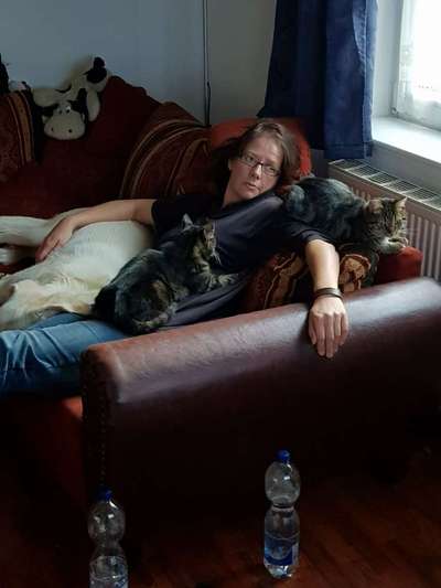 Hund und Katz Momente-Beitrag-Bild