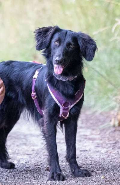 Was steckt drin?-Beitrag-Bild