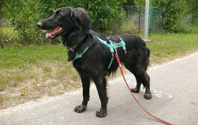 Was steckt drin?-Beitrag-Bild