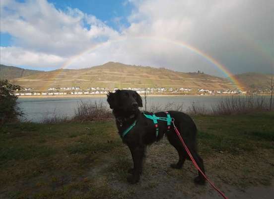 Lieblings Fotos-Beitrag-Bild