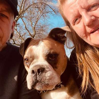 Hundetreffen-Social Walk am Phoenix See (oder in der Nähe)-Bild